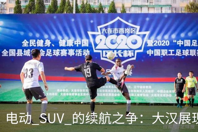 电动 SUV 的续航之争：大汉展现强大实力的背后